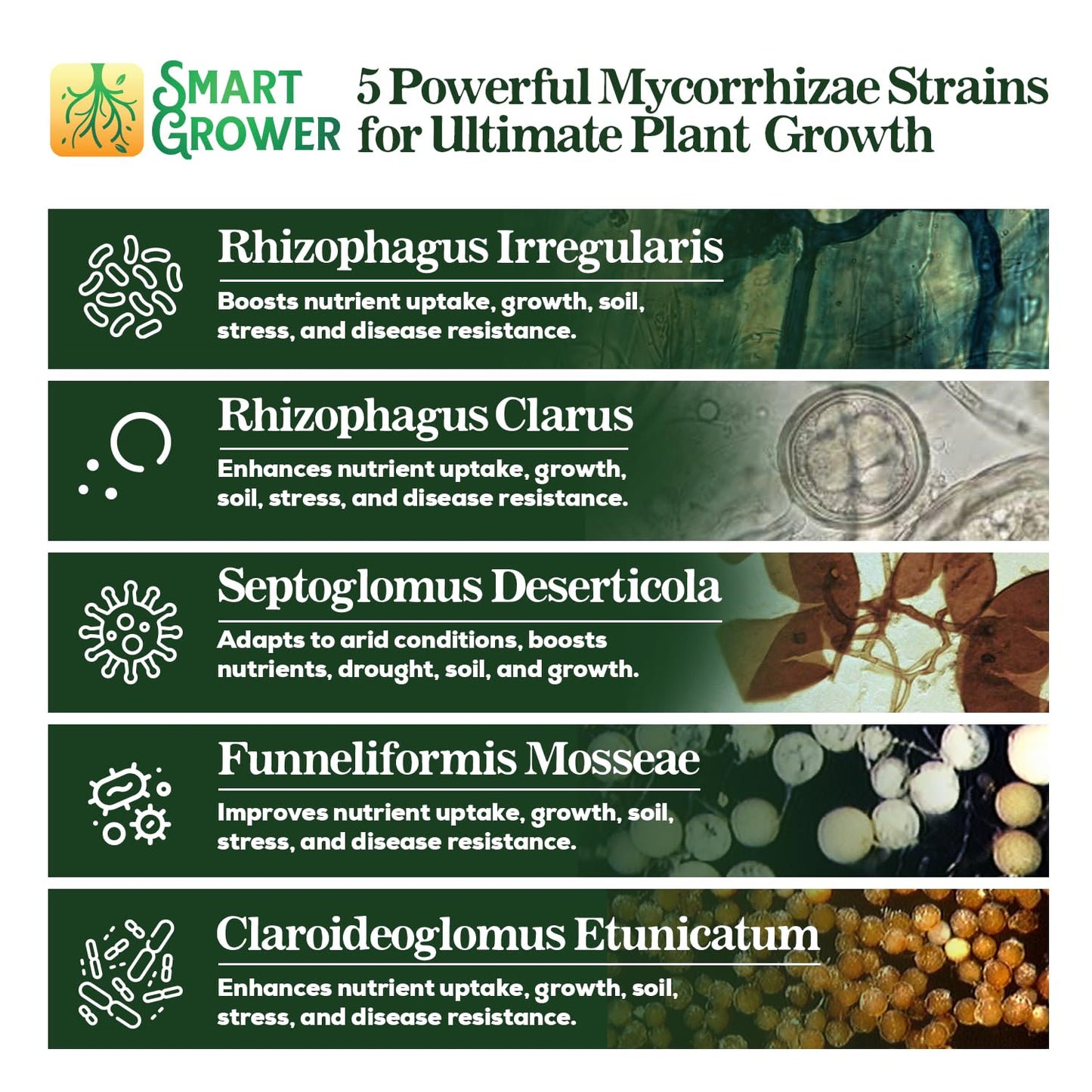 Mycorrhizae Smart Grower | Organic Root Enhancer for Plants - 100 Spores/G, 5-Strain Blend, 125g for 125 Plants