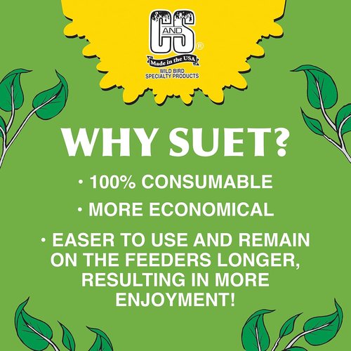 C&S Hot Pepper Delight Suet Dough - No Melt, 11.75 Ounces | 12 Pack for Wild Birds