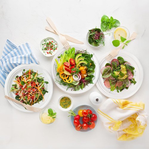 Freshware Paper Plates - Biodegradable 10" Disposable Dinner Plates | Heavy-Duty, Microwave & Freezer Safe - 150-Pack