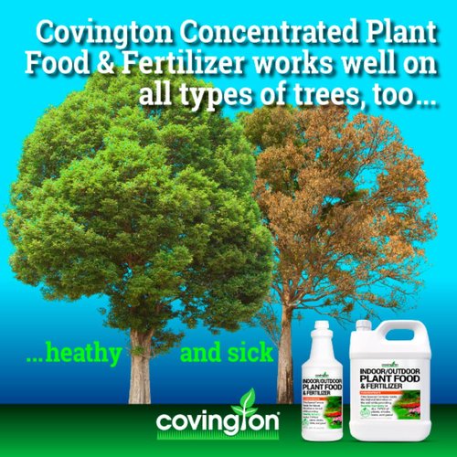 Covington Plant Food & Fertilizer Concentrate - Liquid Nutrient Solution for Indoor & Outdoor Plants (32 oz)