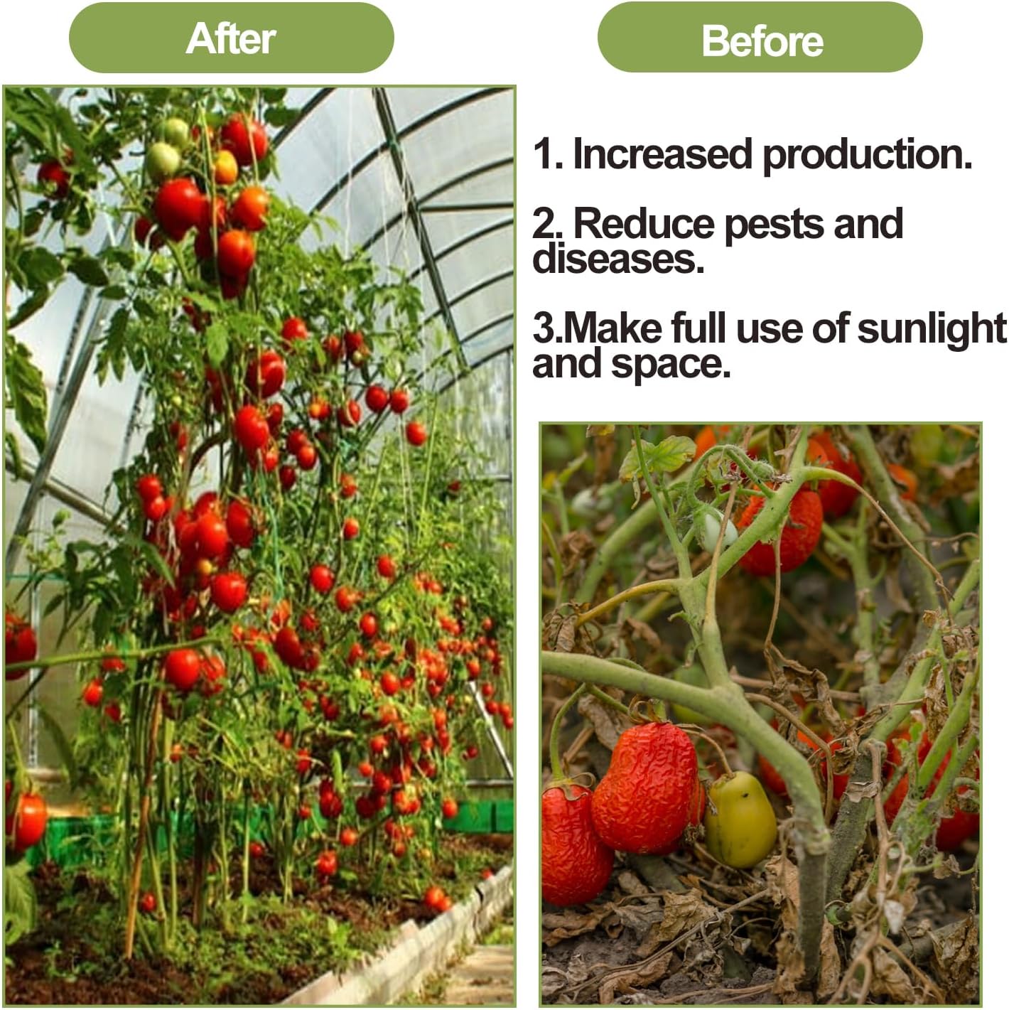 Skiennix 40 Pack Tomato Roller Hooks - Greenhouse Trellising Kit with 49.2FT String for Plants & Vines