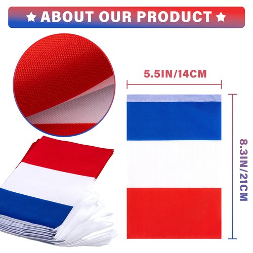 France String Flag Pennant Banner, Small Mini French Flags Bunting Banner, 14th of July French Bastille Day National Country Decoration for School, Party, Sports Events, Festival, 33 Feet 30 Flags