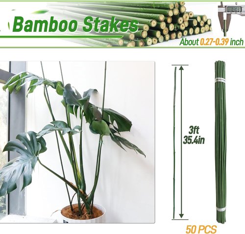 Bamboo Sticks | 50Pcs 3ft Natural Bamboo Poles - Durable Garden Stakes for Indoor & Outdoor Plants