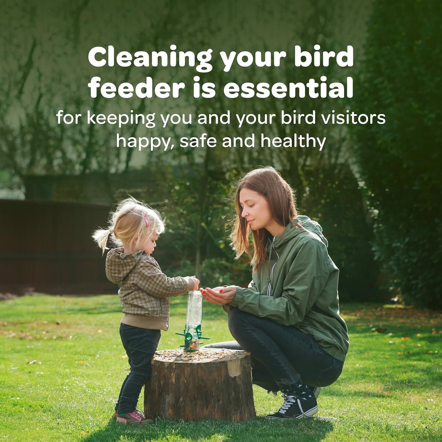 Kaytee Wild Bird Seed - Nutritious Mealworm Seed Cake for Bluebirds & Chickadees | 1.4 Pound