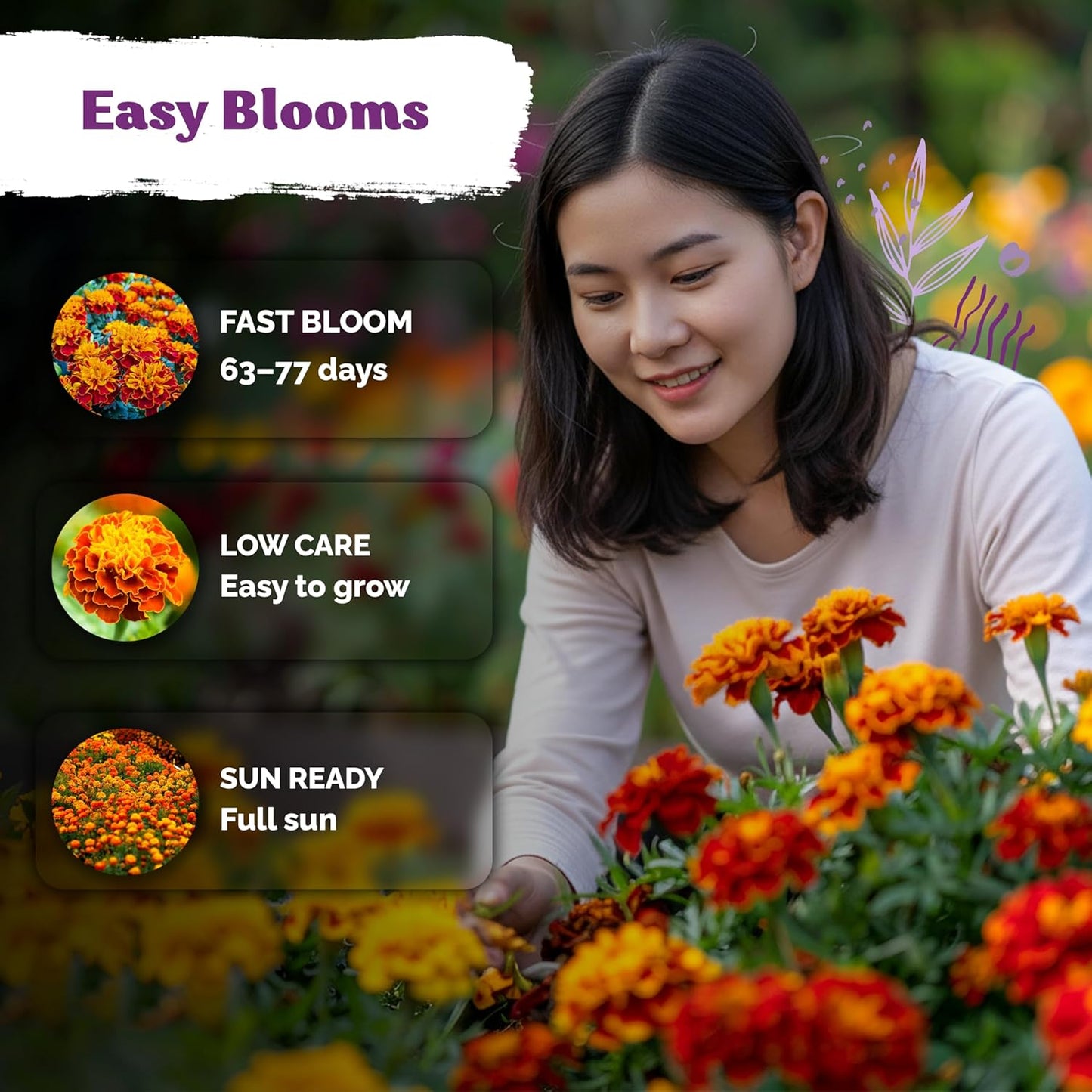 KVITER 500 French Marigold Seeds - Heirloom Non-GMO Organic Sparky Mix | Vibrant Yellow & Orange Blooms for Gardens