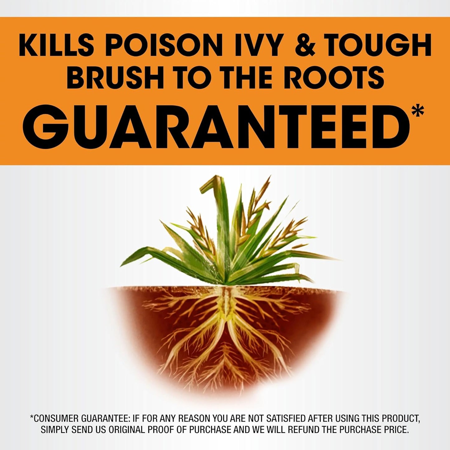Roundup Poison Ivy Plus Tough Brush Killer - Fast-Acting Concentrate, 32 fl. oz. for Quick Results