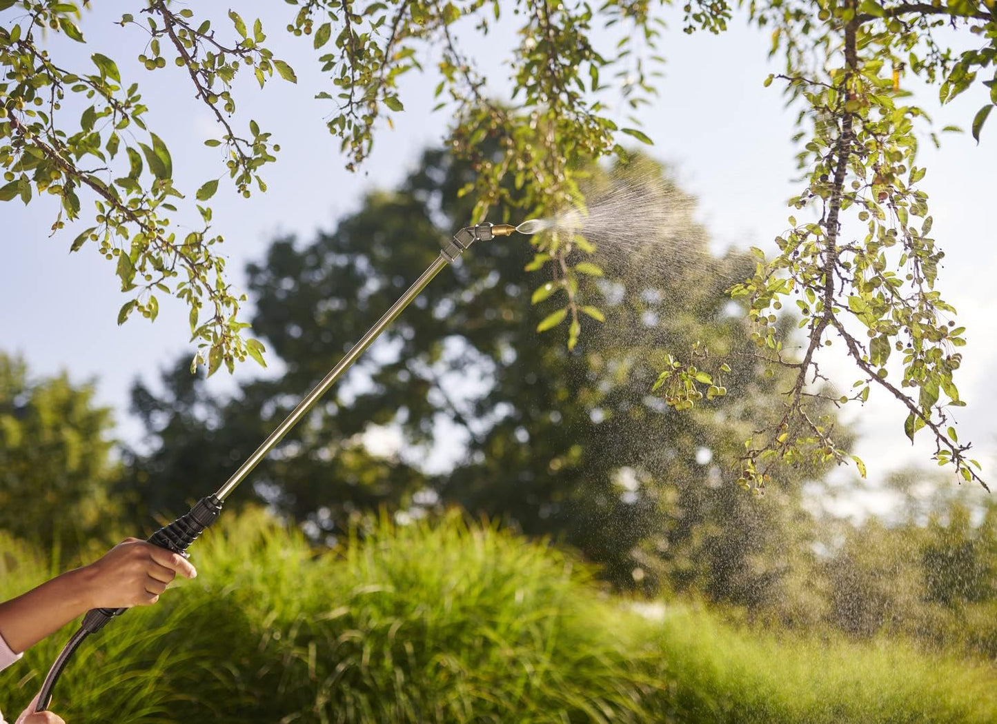 Ortho Fruit Tree Spray - 16-Ounce Formula for Healthy Trees & Shrubs | Pest Control Solution