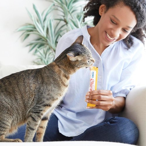 INABA Churu Cat Treats - Grain-Free Lickable Creamy Purée with Vitamin E & Taurine | Tuna & Chicken, 50 Tubes