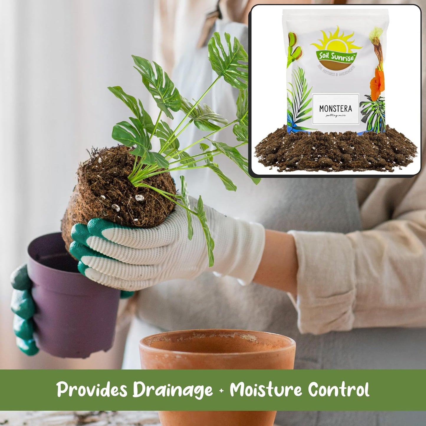 Sunrise Monstera Potting Soil Mix - Custom Blend for Growing & Repotting | 12 Quarts