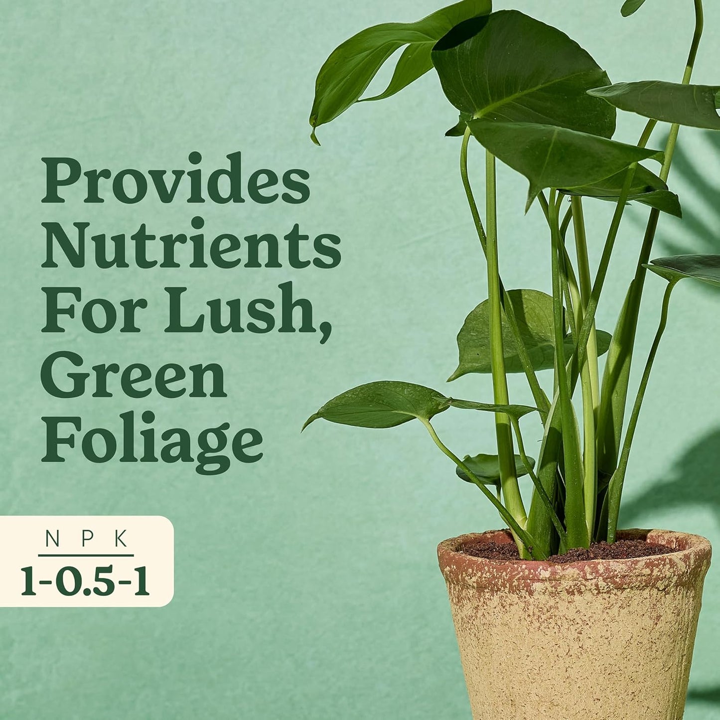 Miracle-Gro Indoor Plant Food - Liquid Fertilizer for Tropical Houseplants | 8 fl. oz., 2-Pack