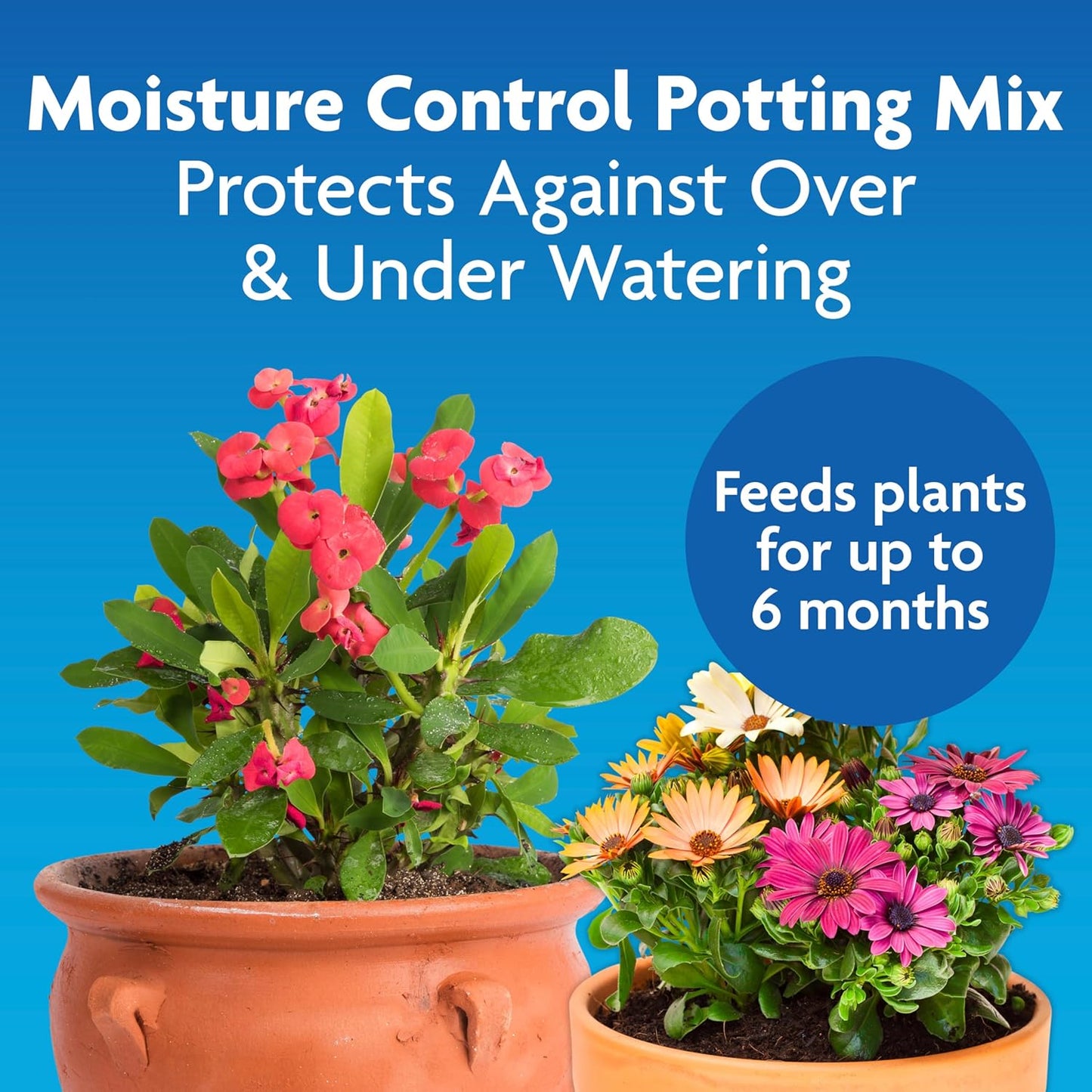 Miracle-Gro Moisture Control Potting Mix - 8 Qt. Plant Soil for Container Plants | Prevents Over- and Under-Watering (2-Pack)