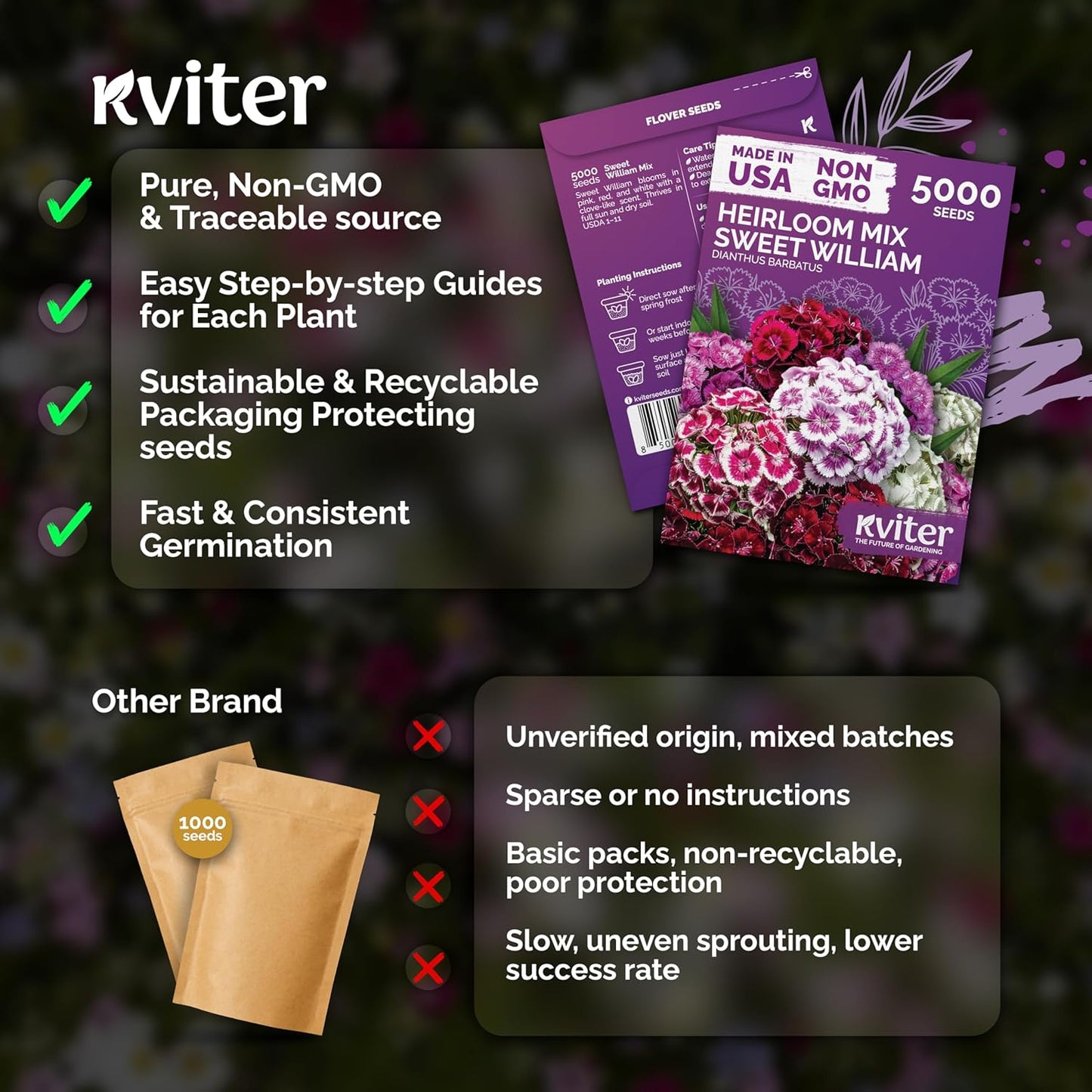 KVITER 5000 Sweet William Seeds - Organic Heirloom Clove-Scented Perennial Flower Seeds for Indoor & Outdoor Planting
