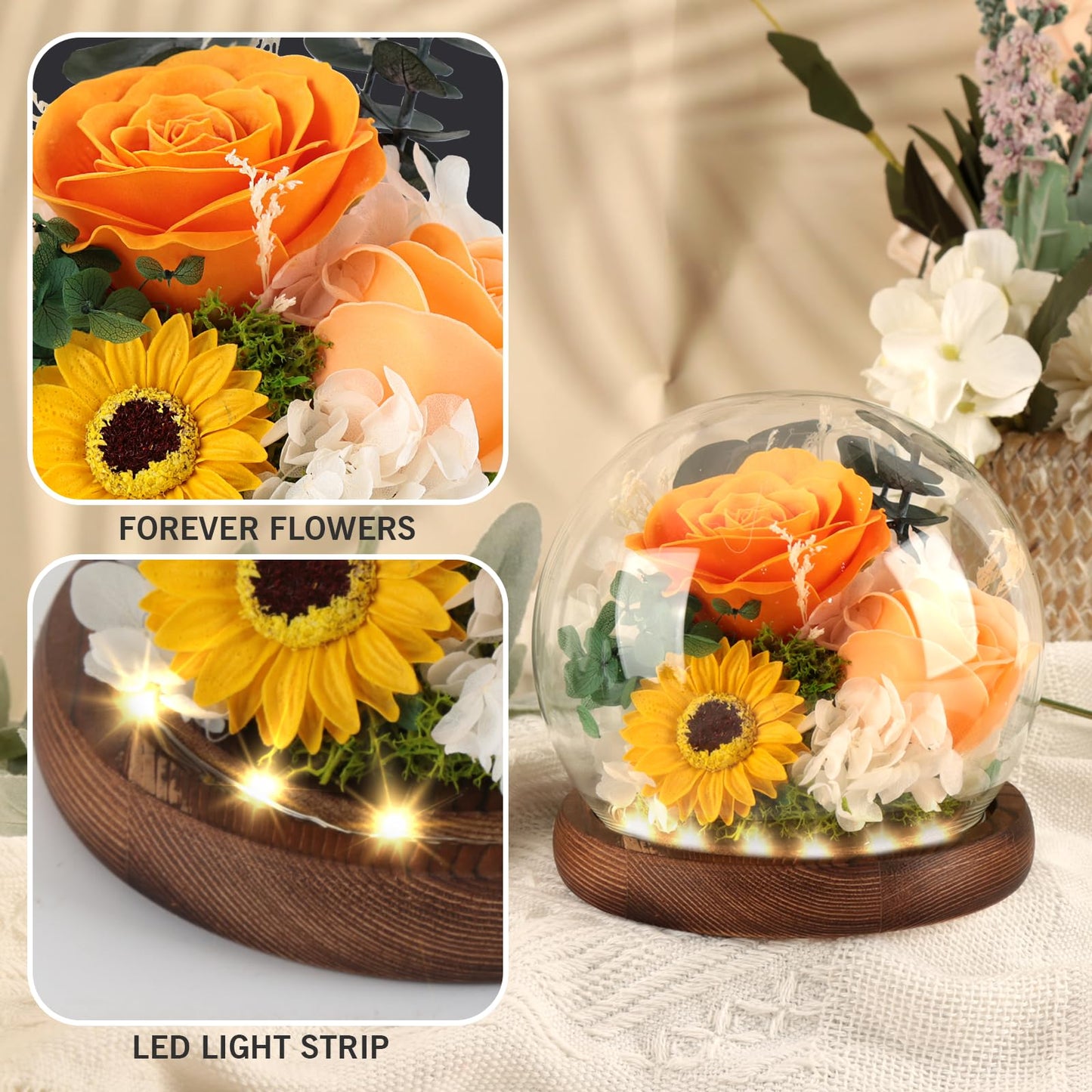FAYODO Preserved Flowers with Light, Eternal Rose as Gifts for Women Mom Grandma Girlfriend for Birthday Christmas Valentine's Day Mother's Day Anniversary Thanksgiving, Champagne