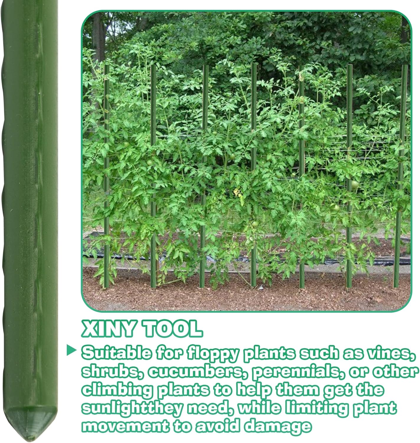 Xiny Tool Garden Stakes - 25 Pack Steel Tomato Stakes with Plastic Coating | 58 Inch Height for Climbing Plants