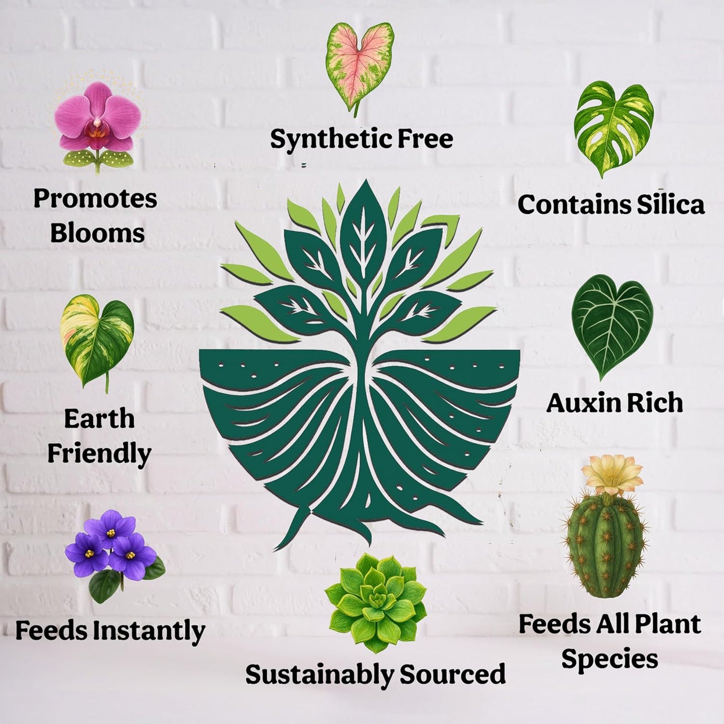Skiennix Organic Liquid Indoor Plant Food - All-Purpose Fertilizer with Sea Kelp, 8oz Treats 50 Gallons