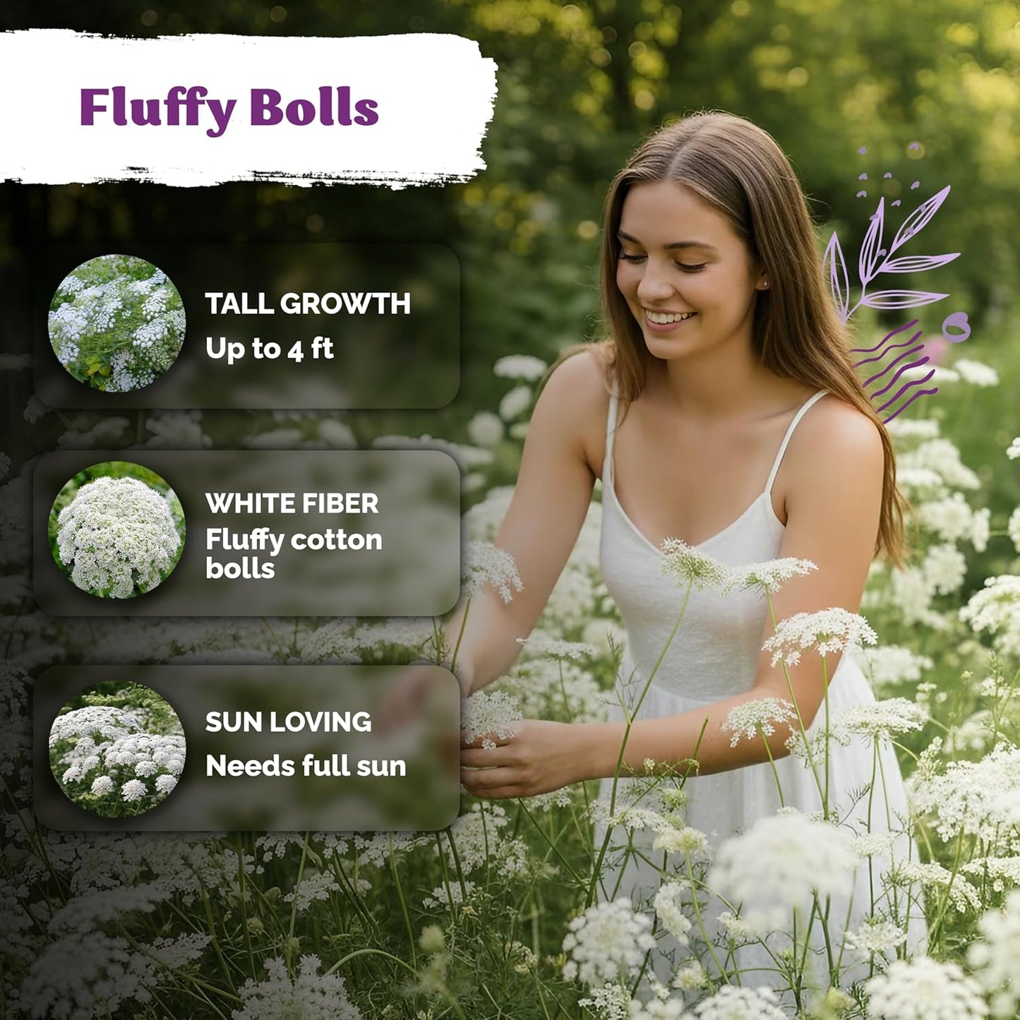 KVITER 1000 Queen Anne's Lace Seeds - Heirloom, Non-GMO, Organic Wildflower for Pollinator Gardens