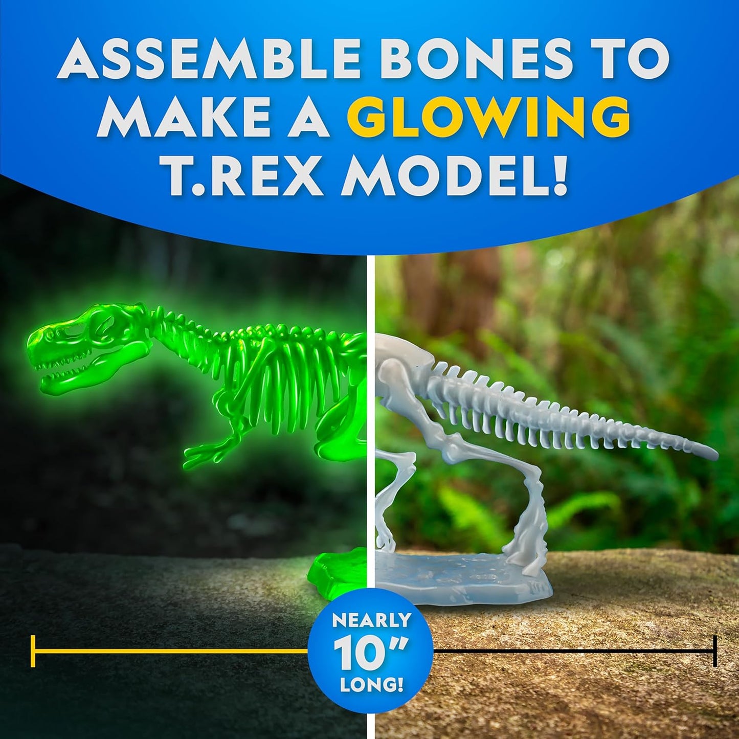 National Geographic Glow-in-The-Dark T. Rex Dissection Lab - Build a 9.5” Glowing Dinosaur Skeleton Model | Includes Refill Pack & Learning Guide