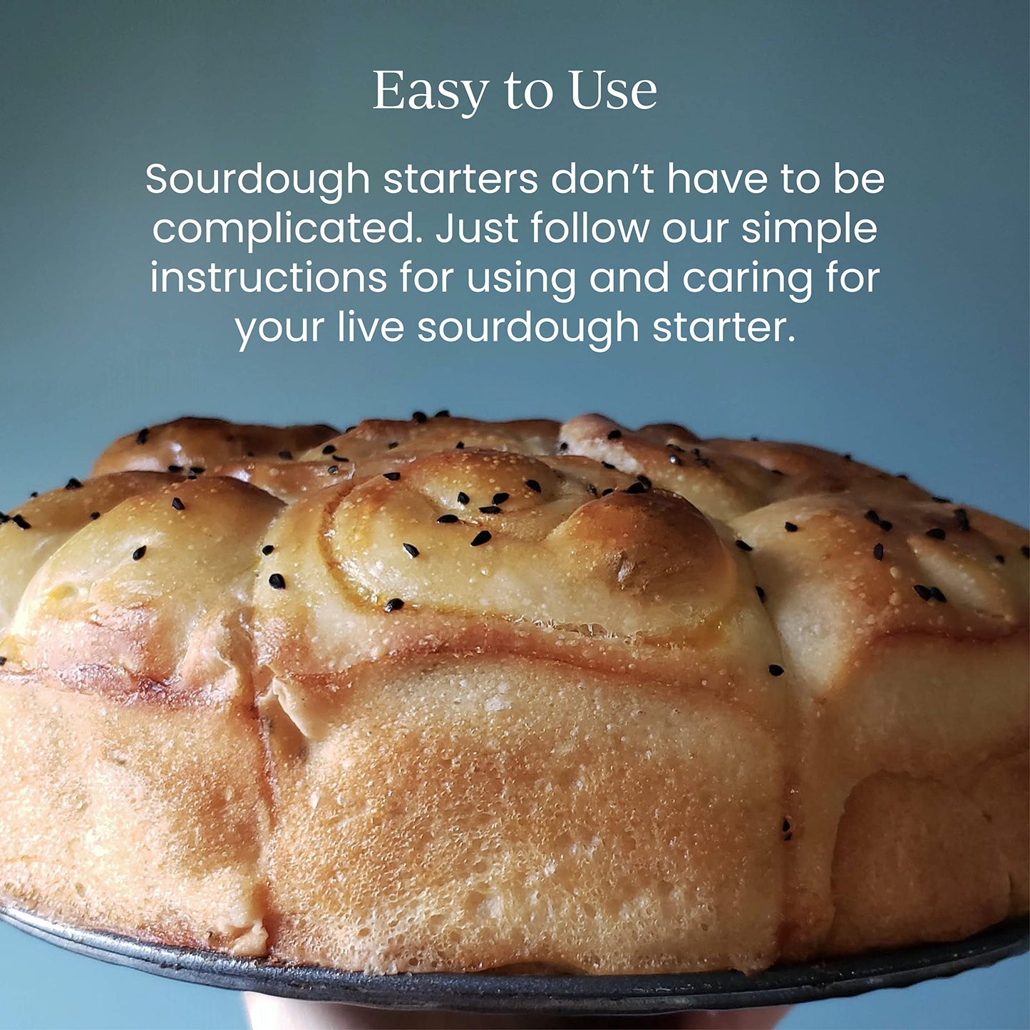 Breadtopia Live Sourdough Starter | Organic Non-GMO Ingredients | Active & Ready to Go | It's Alive - Must be Fed Immediately on Delivery