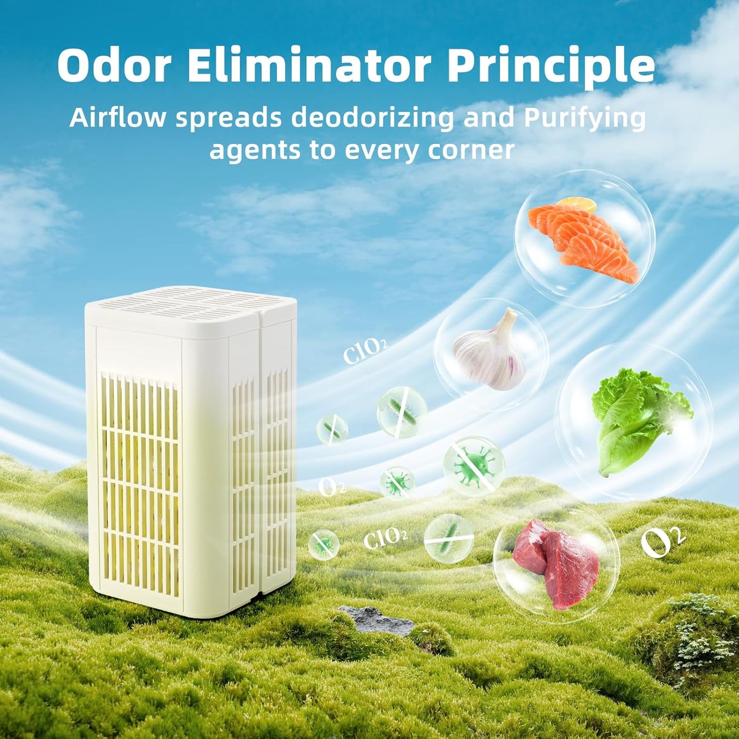 Regine Switzerland Refrigerator Deodorizer - Long-Lasting Odor Eliminator for Freshness | 12-Month Supply