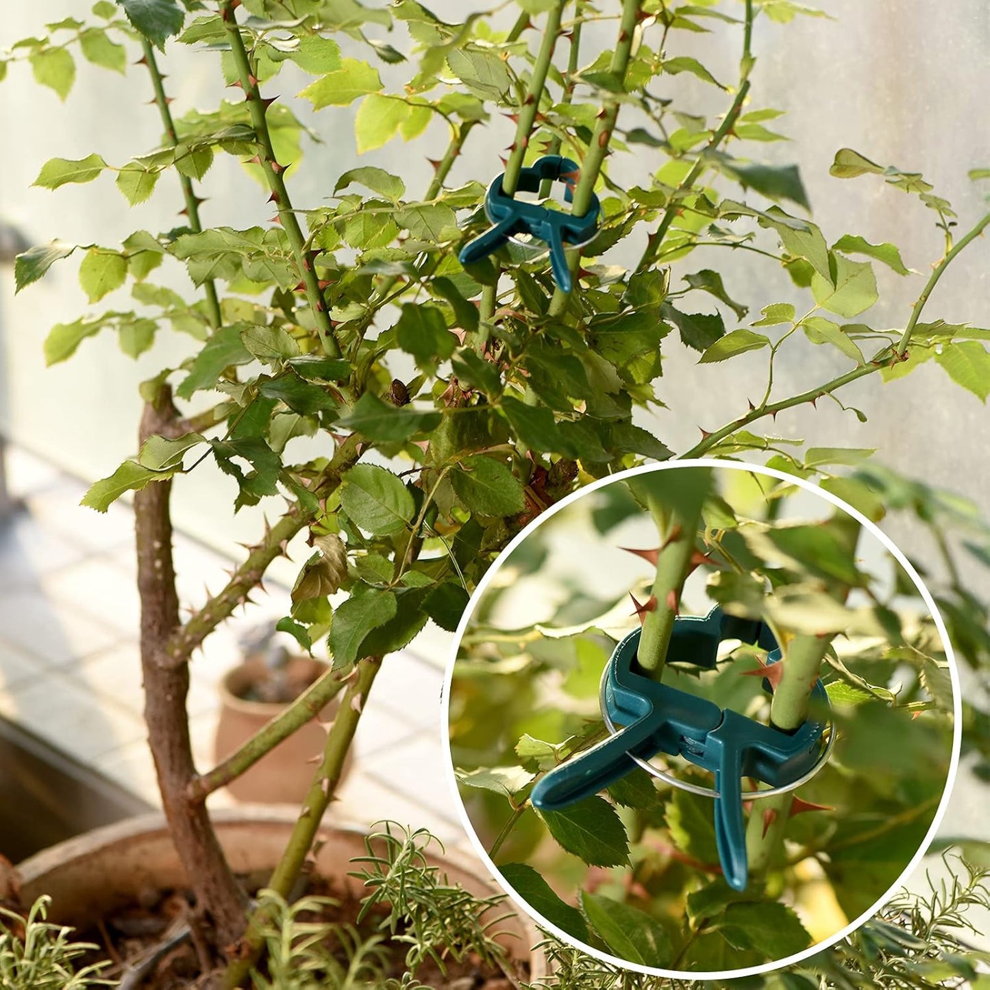 PERSZEN Plant Support Clips - 80 PCS Gentle Clamps for Climbing Plants | 2 Sizes for Upright Growth