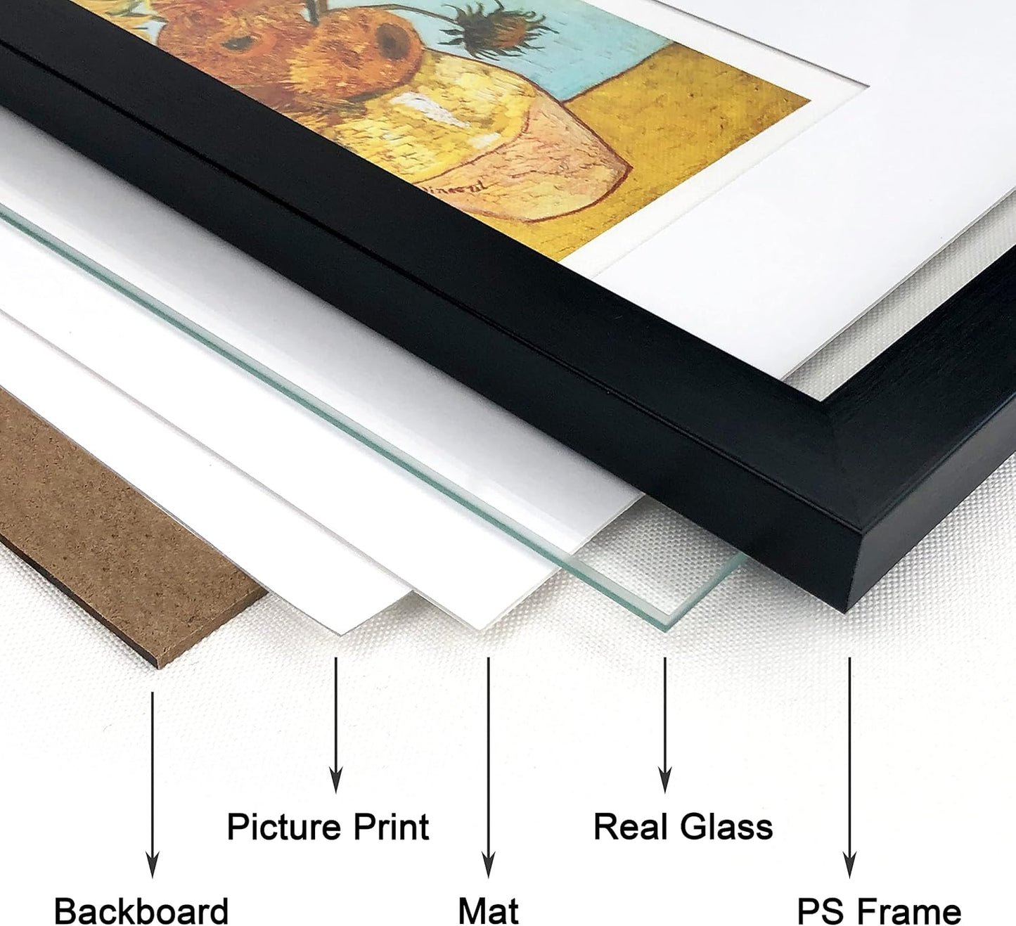 Regine Switzerland 11x14 Picture Frame Set of 6 - Real Glass for 8x10 Photos with Mat or 11x14 Without Mat | Black Wall Gallery & Tabletop Display
