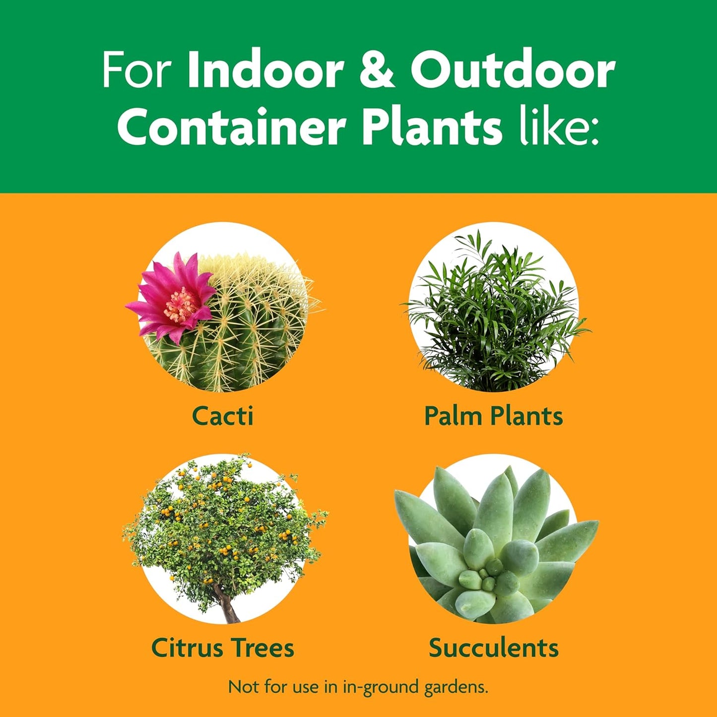 Miracle-Gro Cactus, Palm & Citrus Potting Mix - Ideal for Indoor/Outdoor Plants, 8 Qt, 2-Pack