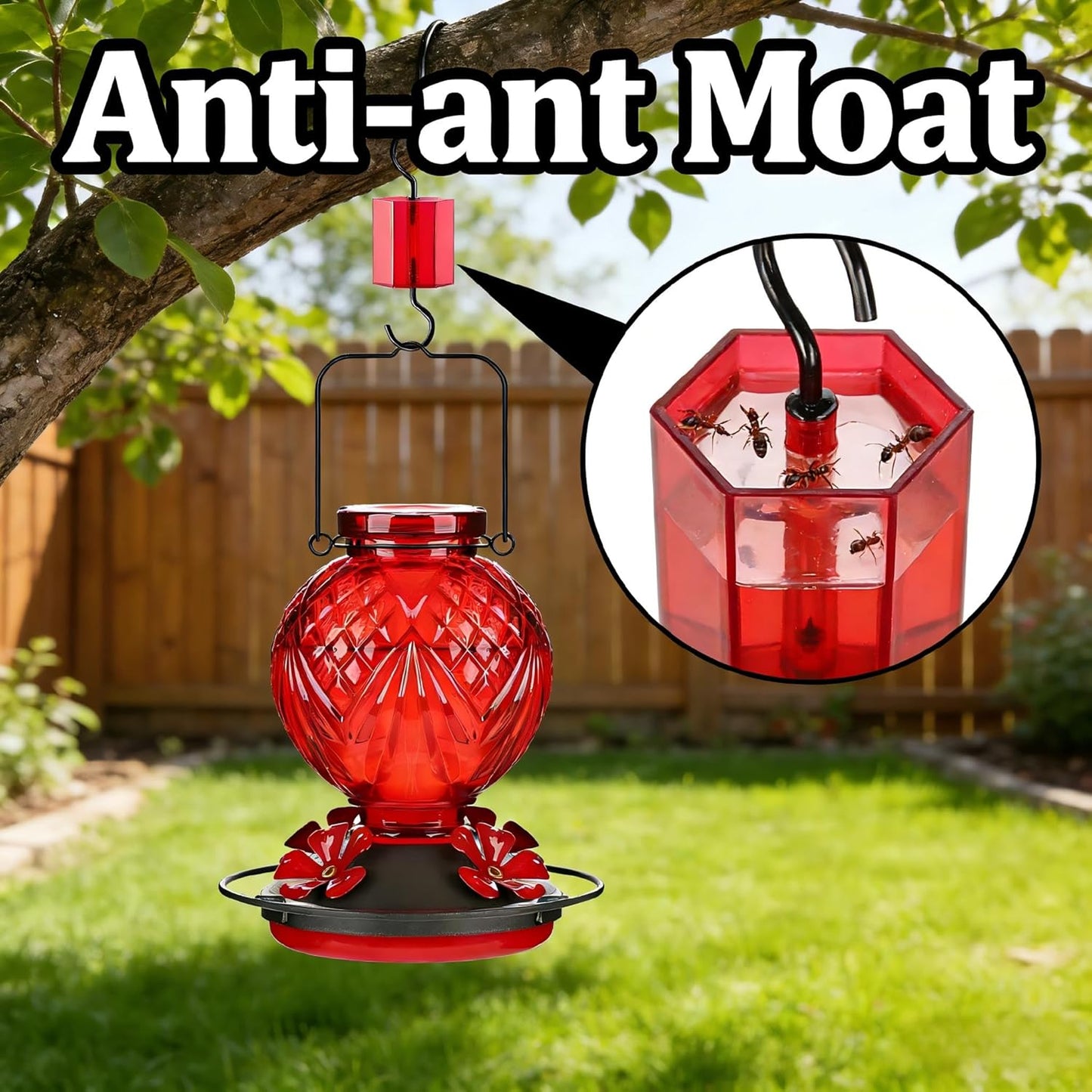 Skiennix Glass Hummingbird Feeder - 20oz Outdoor Nectar Feeder with 4 Flower Ports & Ant Moat, Red