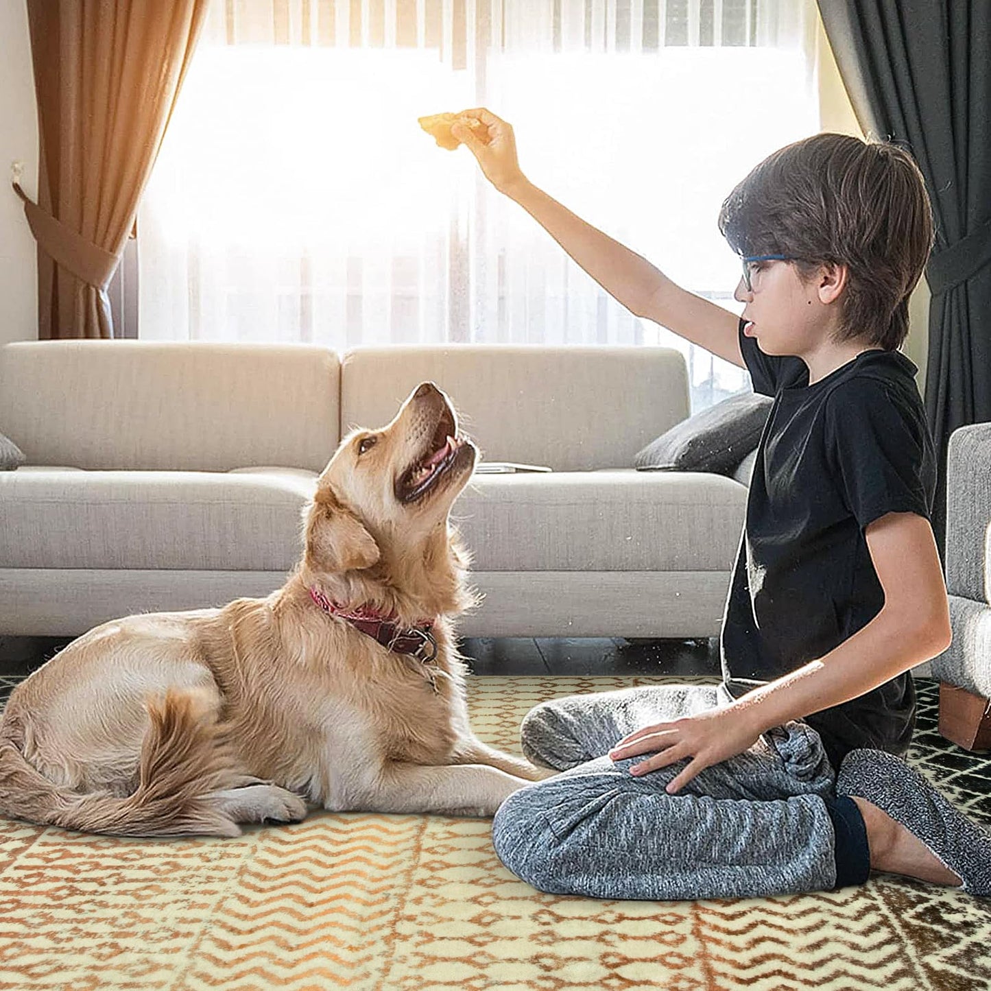 Nailttos Boho Rugs for Living Room, 4x6 Soft Non Slip Area Rug for Bedroom, Low-Pile Machine Washable Rug Indoor Floor Carpet for Kitchen Dorm Office Dining Room