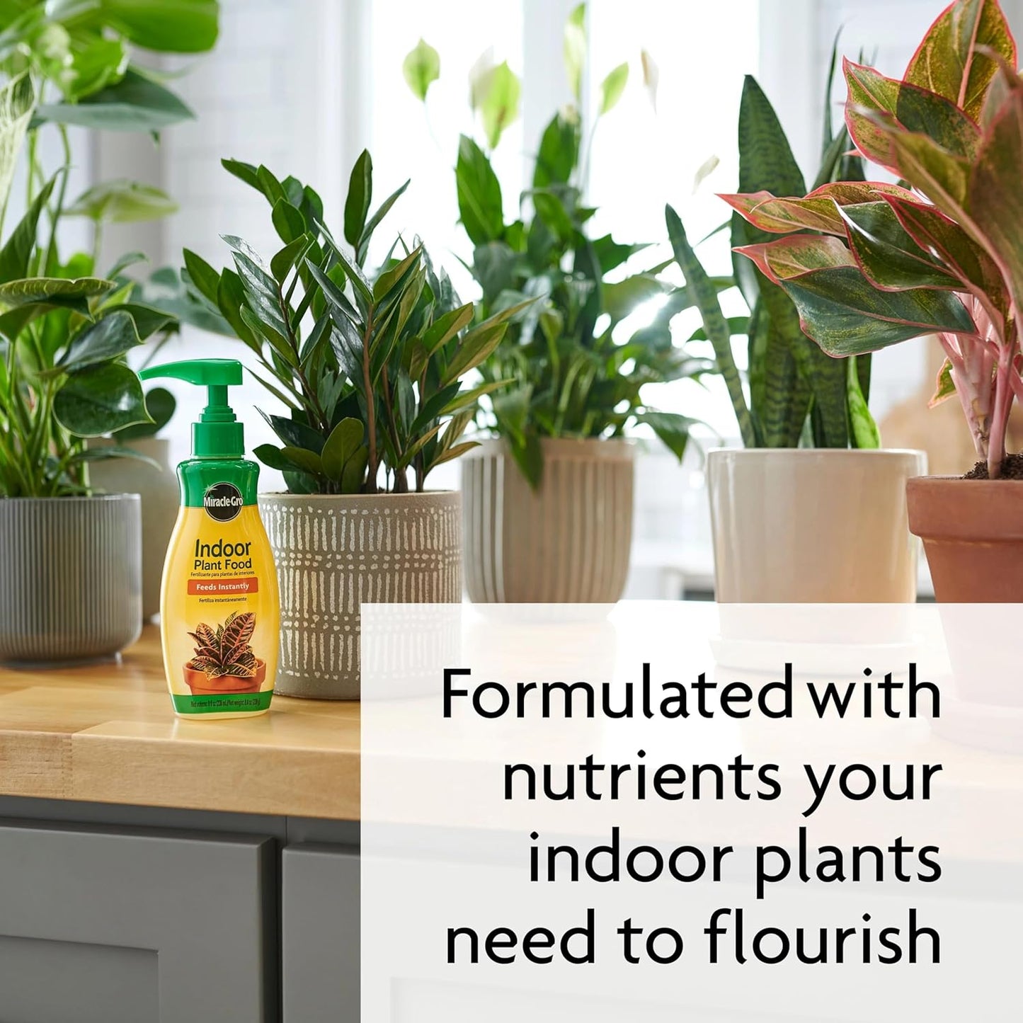 Miracle-Gro Indoor Potting Mix & Plant Food Bundle - 6 Qt Potting Mix + 8 Oz Fertilizer for Thriving Houseplants