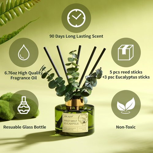 Airkeep Reed Diffuser Set - 6.76 Fl Oz Wild Mint & Eucalyptus Essential Oils | Elegant Home Decor & Air Freshener