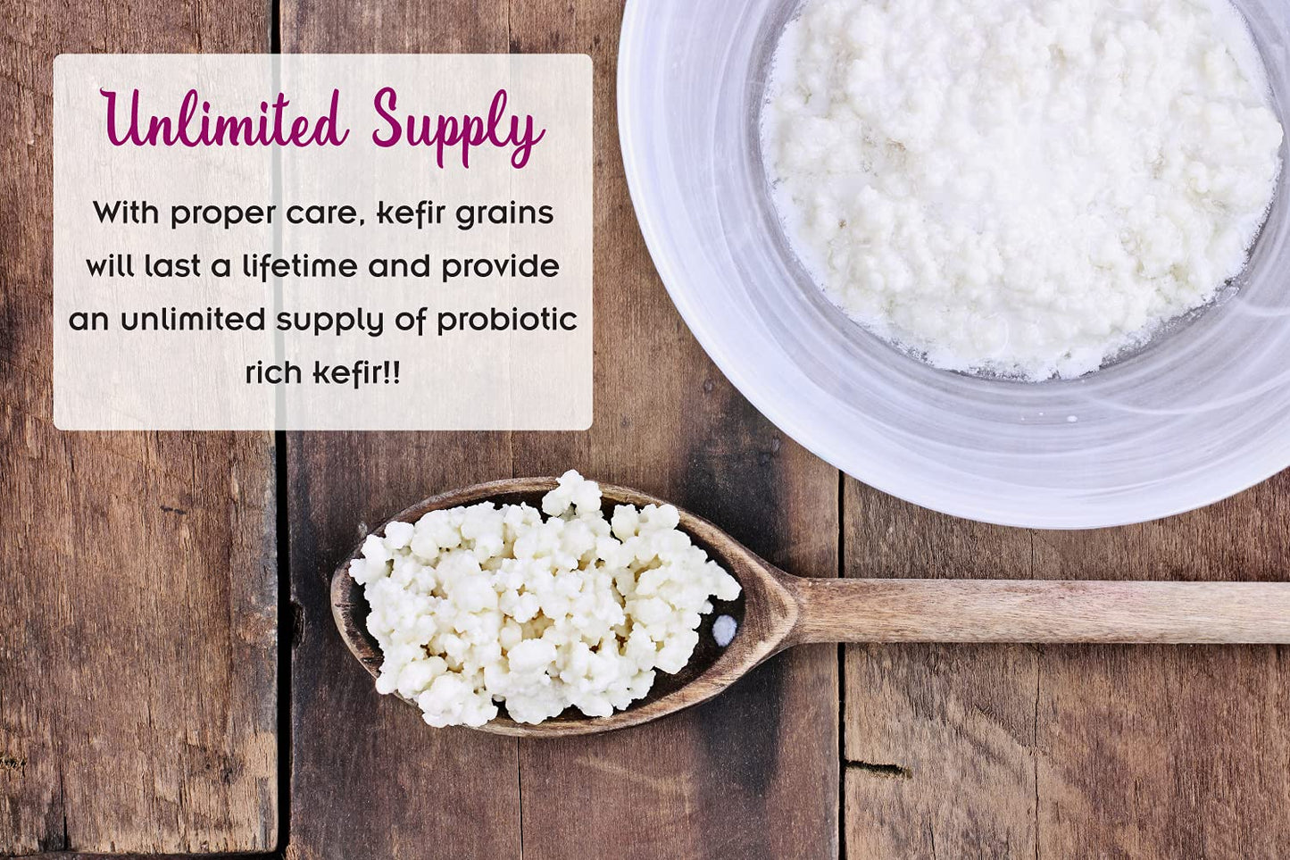 1 TBSP Milk Kefir Grains and eBook "Milk Kefir Unleashed by Thomas Egbert" - Fresh Live Active Probiotic Starter Cultures - Fusion Teas