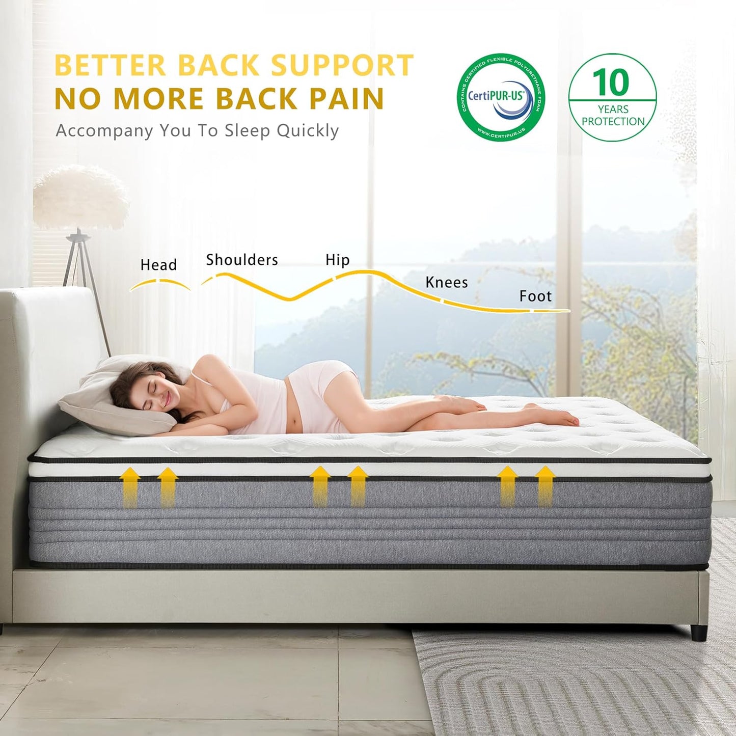 Regine Switzerland Queen Mattress - 12 Inch Medium Firm with Pocketed Springs for Pressure Relief