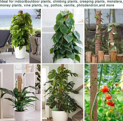 Fabulas Moss Pole - 47.5 Inch Monstera Plant Support with 4 Packs of 16 Inch Coco Coir Stakes
