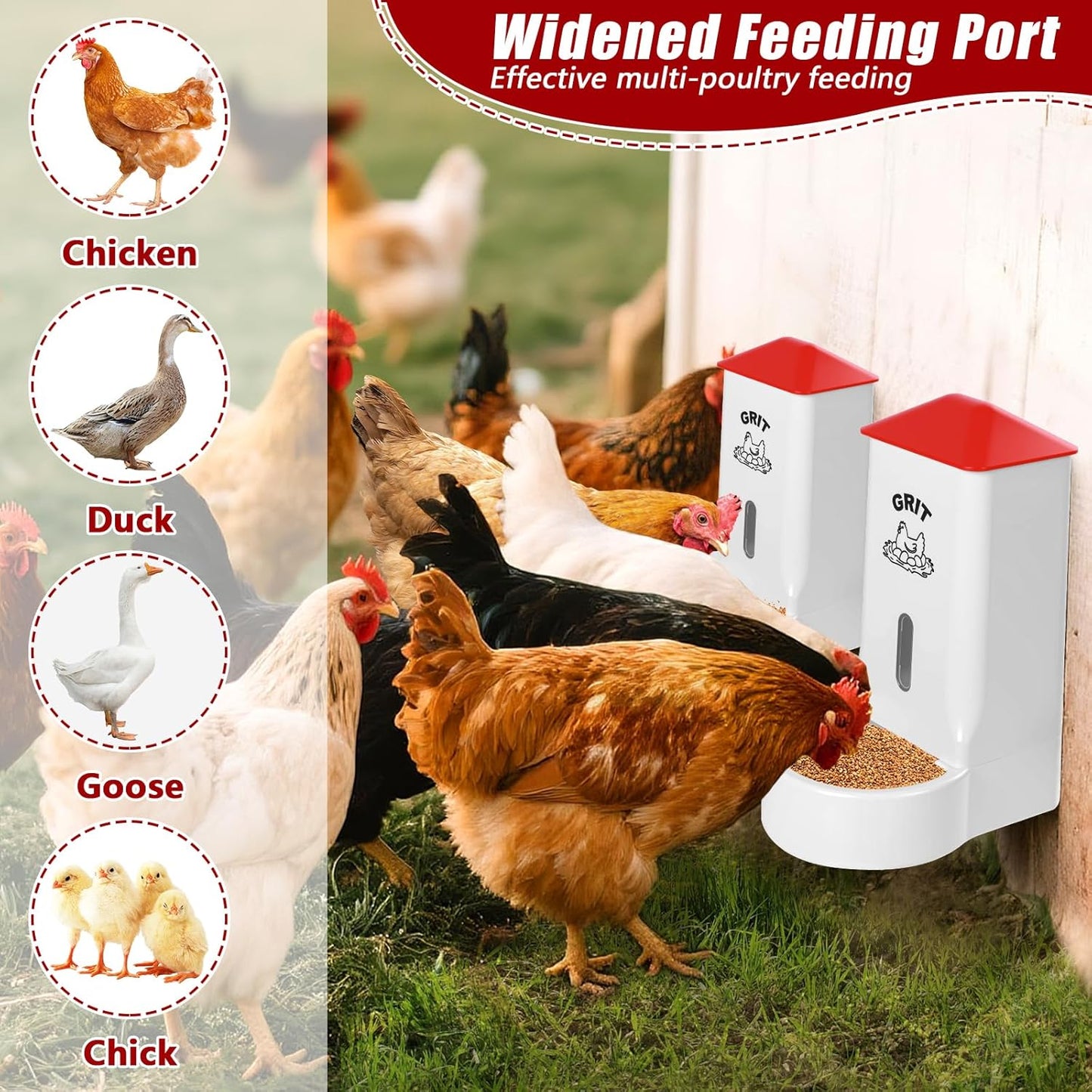 Skiennix Oyster Shell & Grit Feeder Combo - PVC Chicken Feeder with Viewing Window | Coop Accessory for Healthier Hens