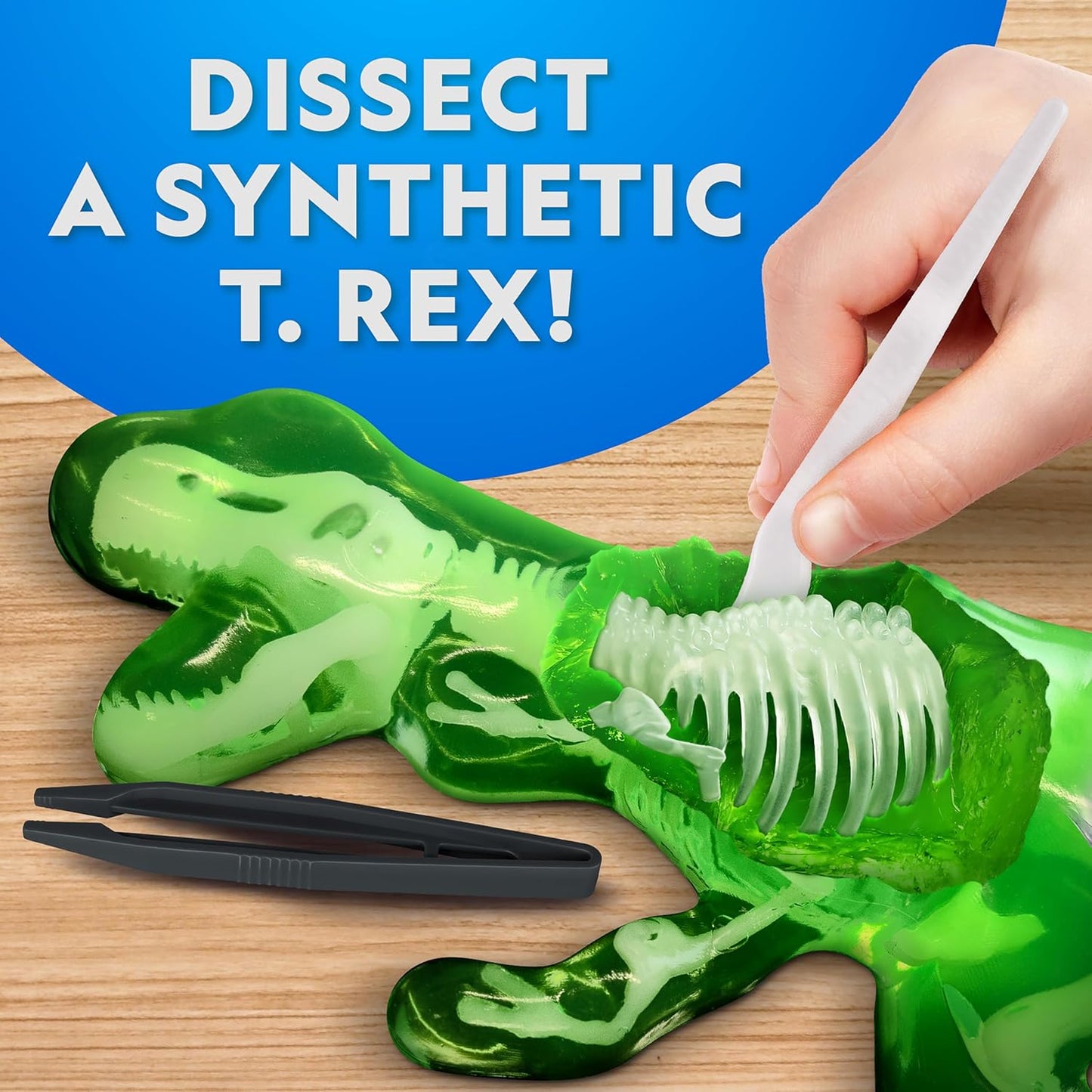 National Geographic Glow-in-The-Dark T. Rex Dissection Lab - Build a 9.5” Glowing Dinosaur Skeleton Model | Includes Refill Pack & Learning Guide