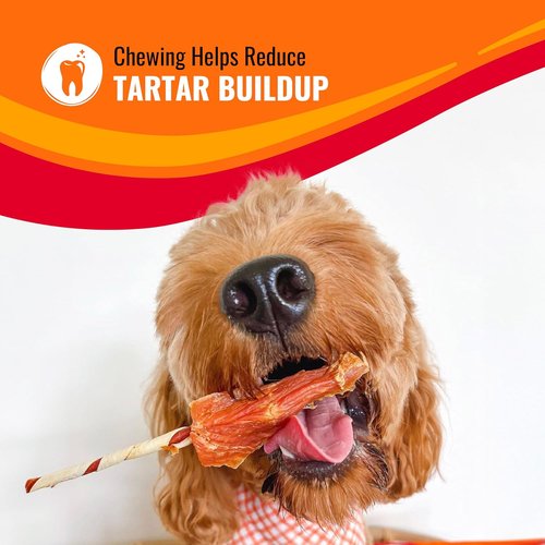 Good ‘n’ Fun Triple Flavor Kabobs - Long-Lasting Dog Chews with Beef Hide, Chicken & Pork | 24 Ounces