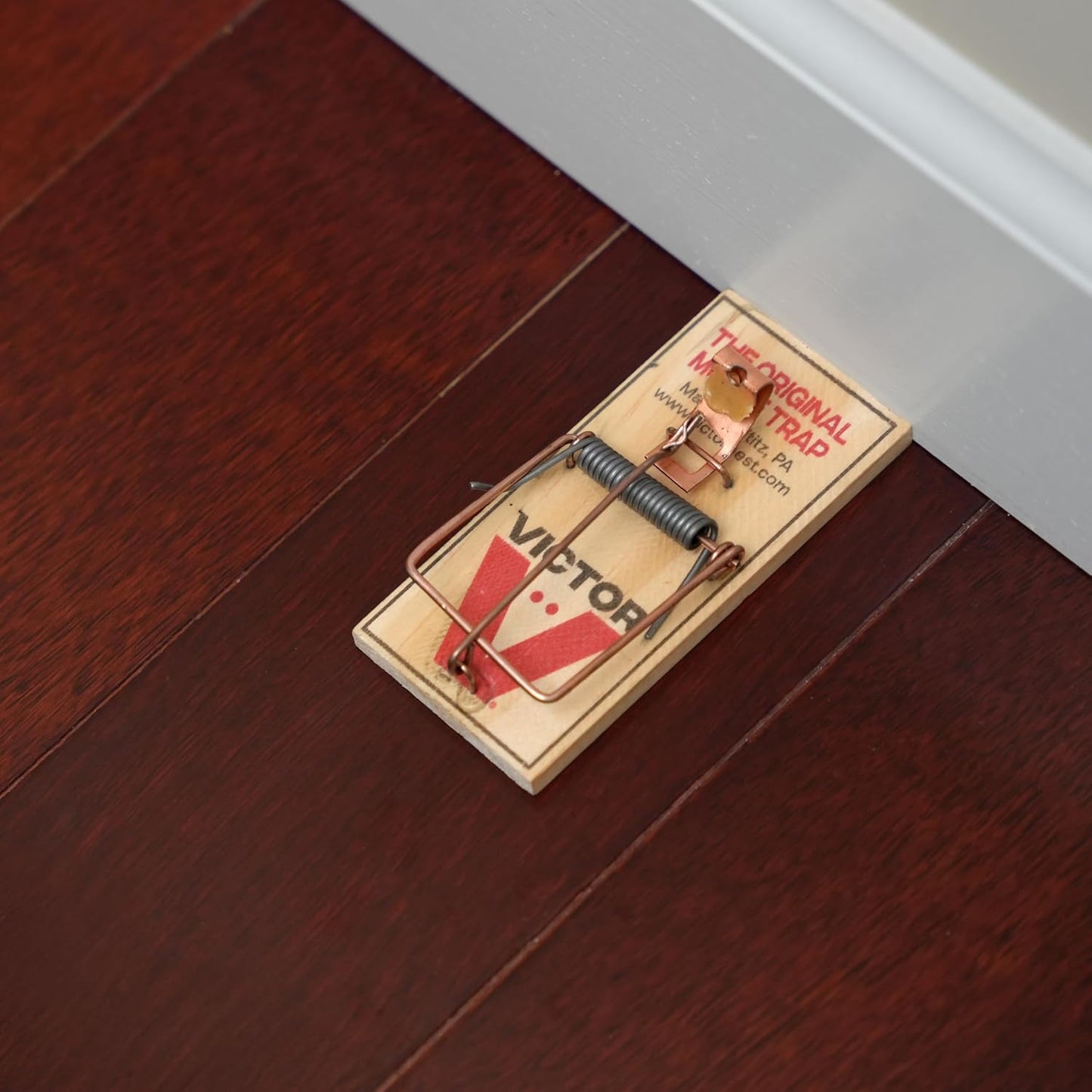 Victor Mouse Traps - Metal Pedal Design, Sustainably Sourced FSC Wood | Pack of 12