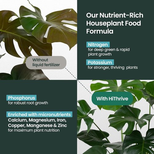 Houseplant Fertilizer by [Brand Name] - All-Purpose Indoor Plant Food, Makes 87+ Gallons, 16oz