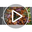 24 Inch Fall Wreath for Front Door with Orange & Purple Peony - Autumn Decor