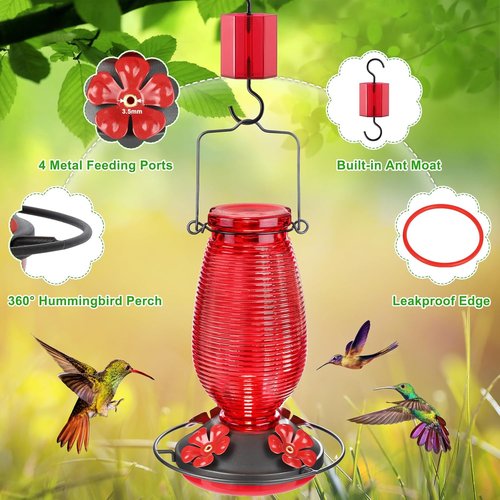 FEED GARDEN Glass Hummingbird Feeder - 20 OZ Capacity with 4 Bee Guards & Ant Moat | Red, 1 Pack