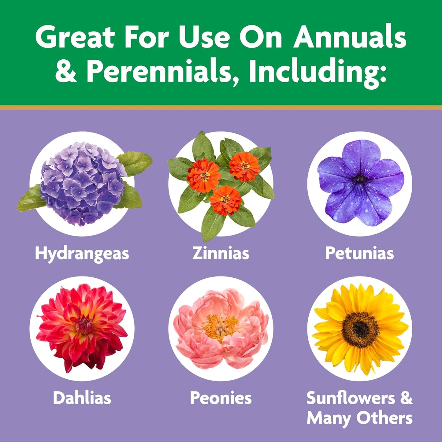 Miracle-Gro Bloom Booster Flower Food | Water Soluble Fertilizer for Vibrant Annuals & Perennials - 4 lbs.