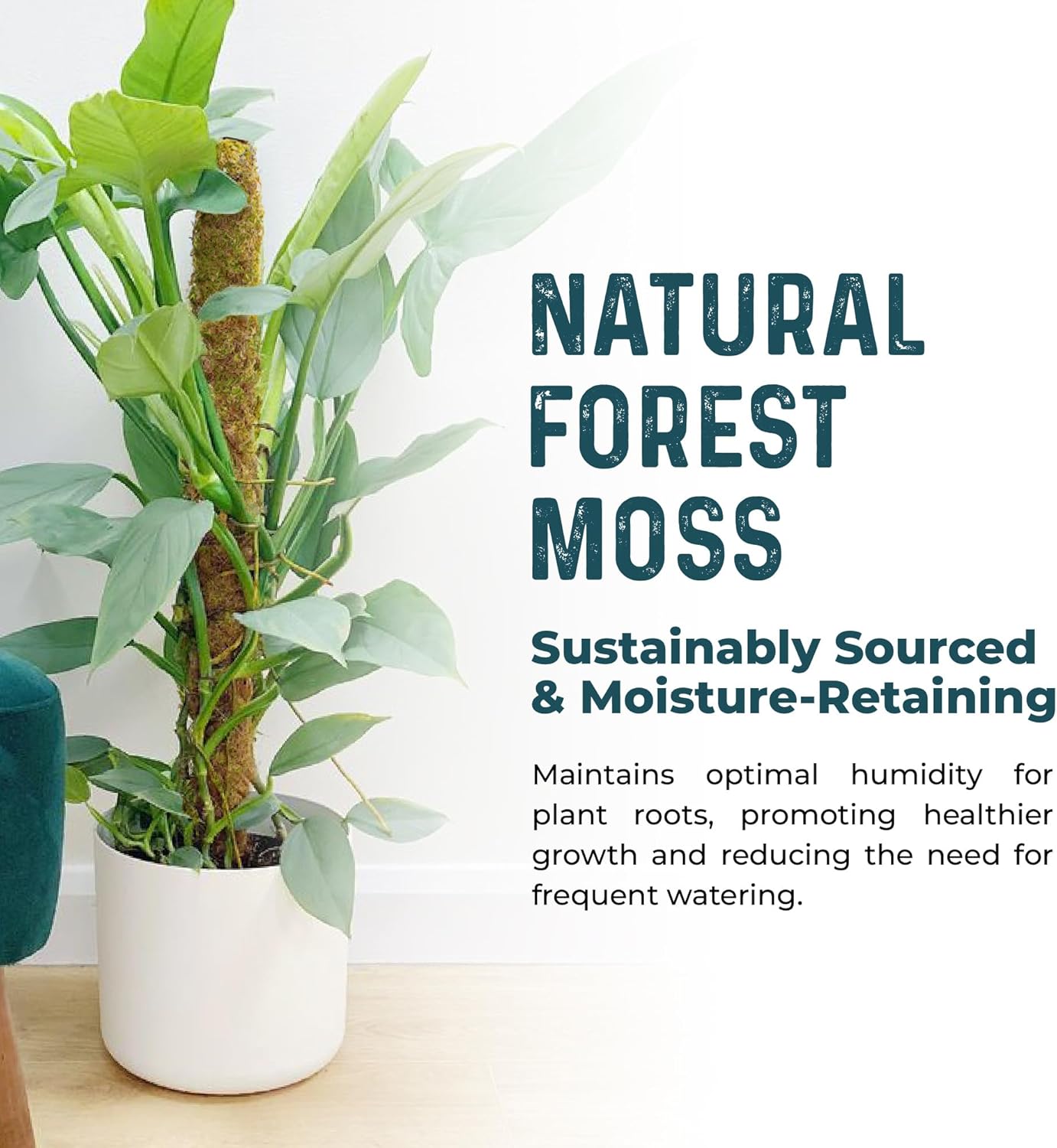 K-Brands Coco Coir Moss Poles - 4 Pack Plant Support for Climbing Monstera - 2 x 42'' & 2 x 25''