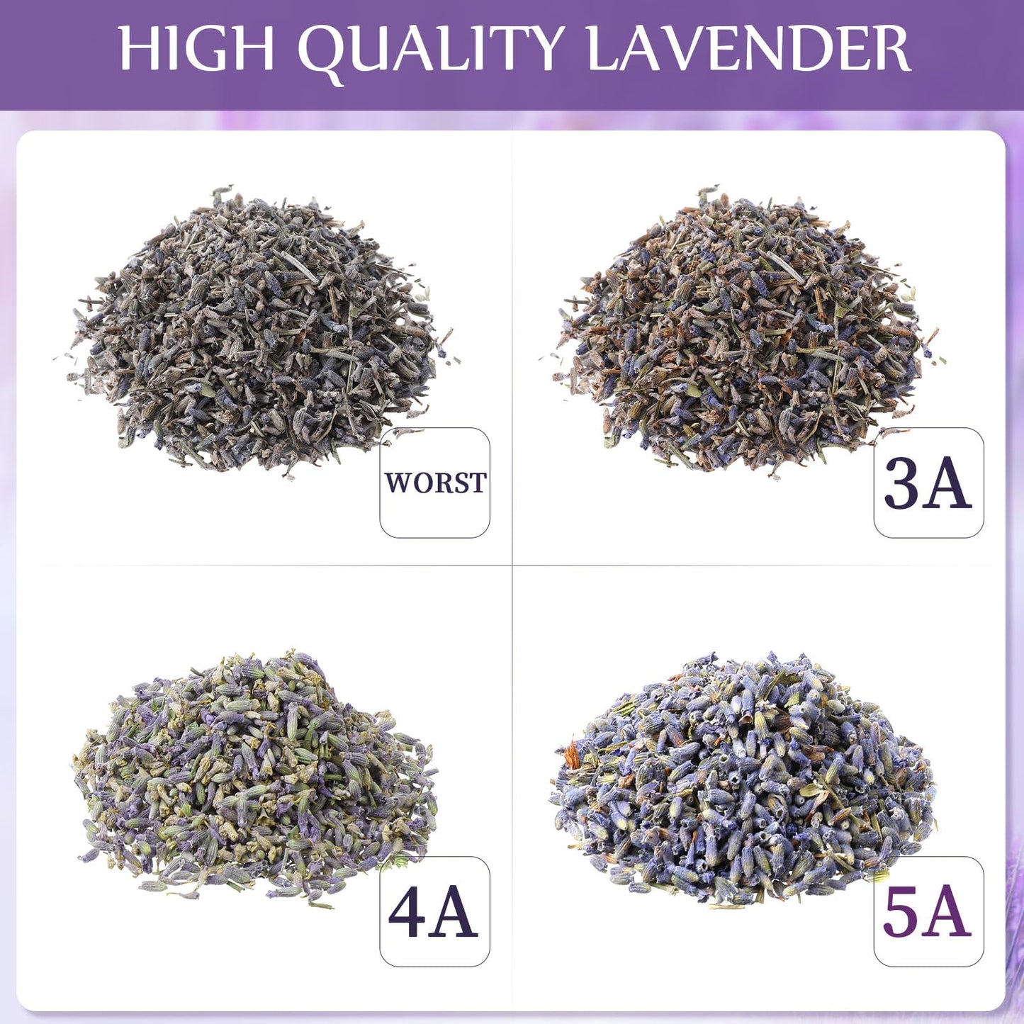Treela Dried Lavender Bulk Dry Lavender Buds Fragrant Flower Petals for DIY Wedding Gift Crafts Home Fragrance Sachets(5 Pound)