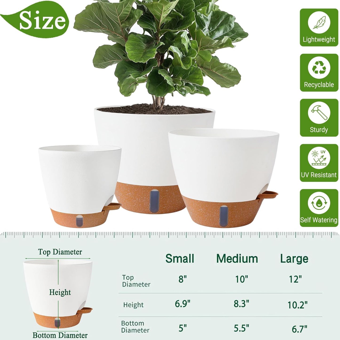 Skiennix Self-Watering Pots - Large 8/10/12 Inch Indoor/Outdoor Planters with Drainage Holes & Water Level Indicator (White)