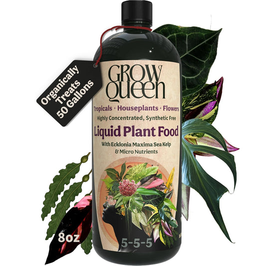 Skiennix Organic Liquid Indoor Plant Food - All-Purpose Fertilizer with Sea Kelp, 8oz Treats 50 Gallons