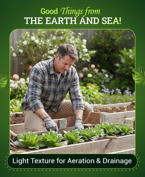 FoxFarm Ocean Forest Potting Soil - Light & Aerated Mix with Fish Meal & Earthworm Castings | 2 x 12 Quart for Houseplants & Seedlings