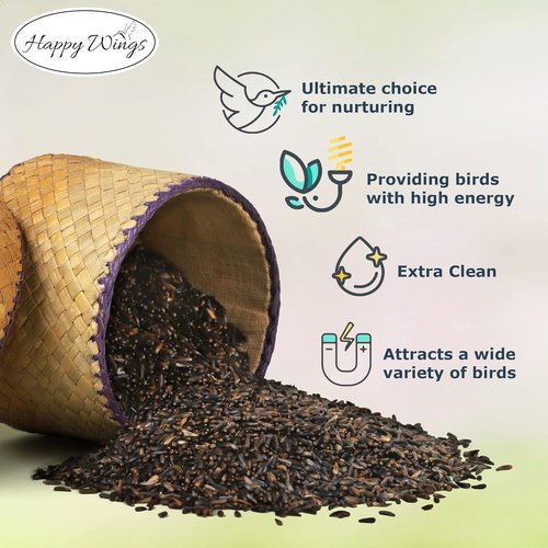 Happy Wings Nyjer/Thistle Seeds - Premium Wild Bird Food, No Grow Formula, 5 Pounds