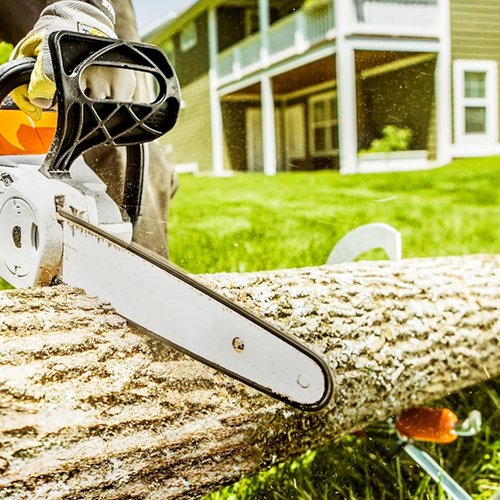 Craftsman 16-Inch Chainsaw Chains - 2 Pack, 3/8 LP .050" 56 Drive Links for Echo, McCulloch, Poulan