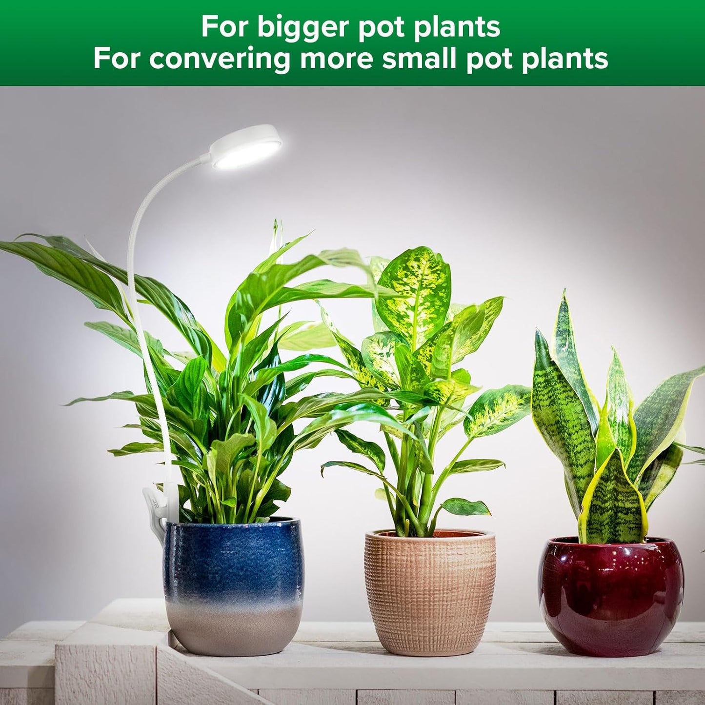 SANSI Grow Light - Full Spectrum LED Plant Lamp with 4-Level Dimmer & Auto Timer | White, 10W, 1-Pack