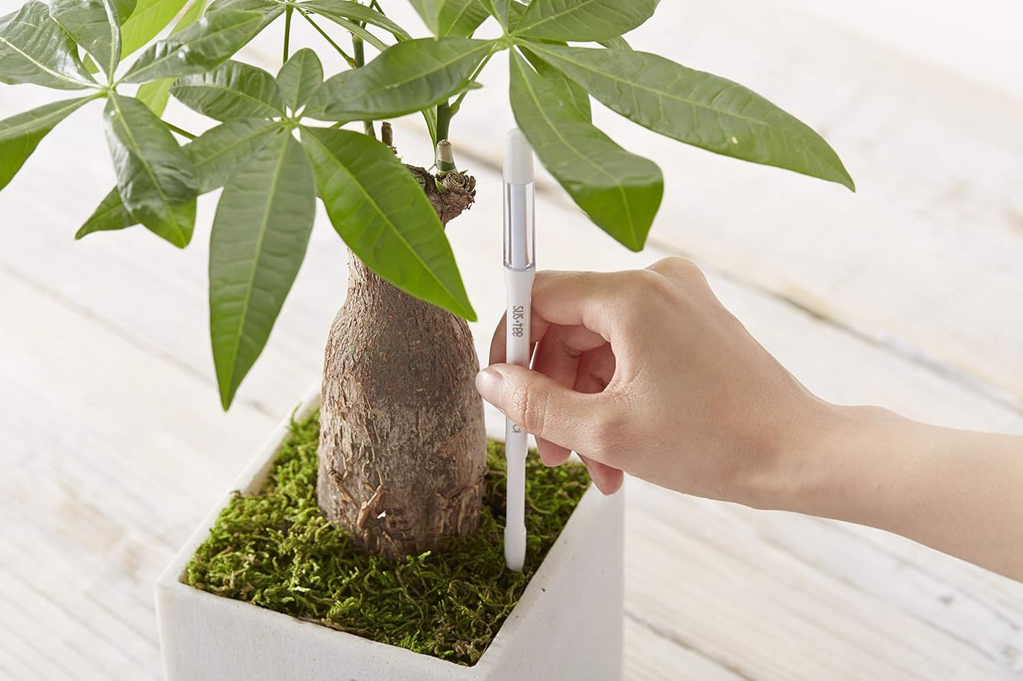 Sustee Aquameter | Set of 5 Plant Soil Moisture Sensors - Small Green Design for Optimal Care